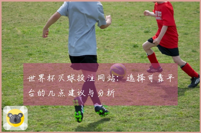 世界杯买球投注网站：选择可靠平台的几点建议与分析