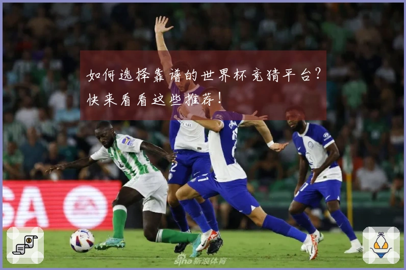 如何选择靠谱的世界杯竞猜平台？快来看看这些推荐！