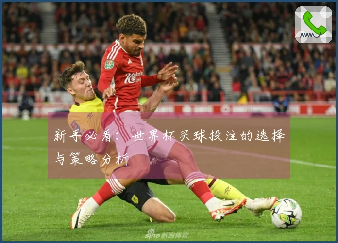 新手必看：世界杯买球投注的选择与策略分析