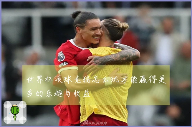 世界杯滚球竞猜怎么玩才能赢得更多的乐趣与收益