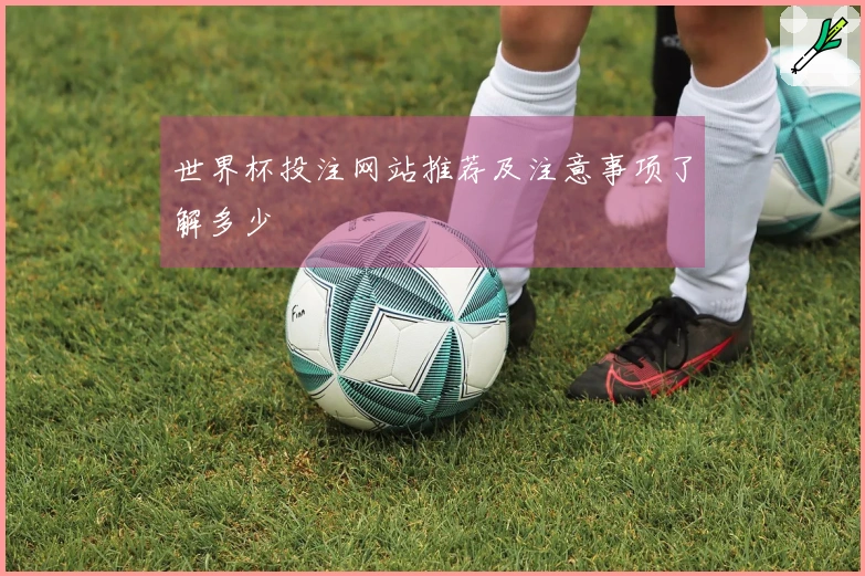 世界杯投注网站推荐及注意事项了解多少