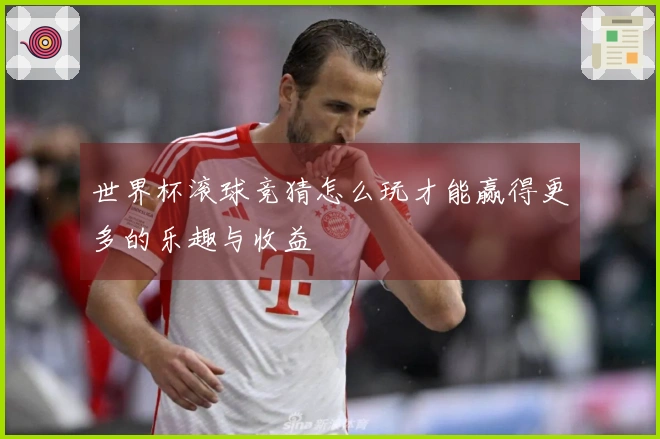 世界杯滚球竞猜怎么玩才能赢得更多的乐趣与收益