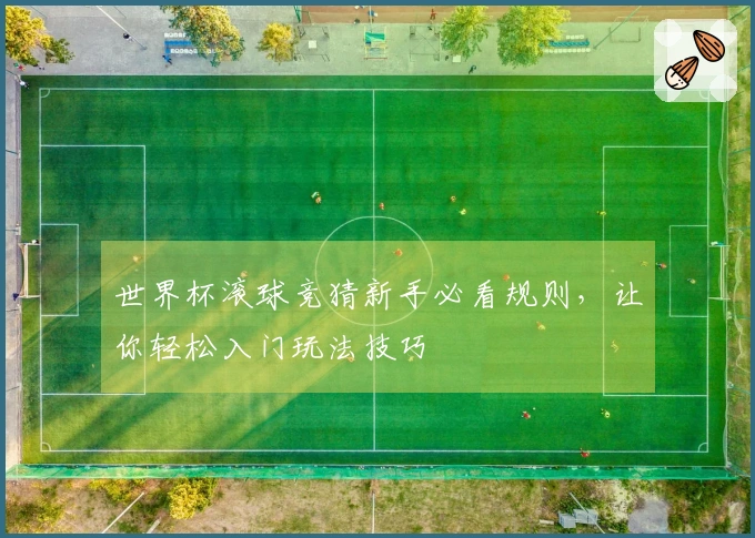 世界杯滚球竞猜新手必看规则，让你轻松入门玩法技巧