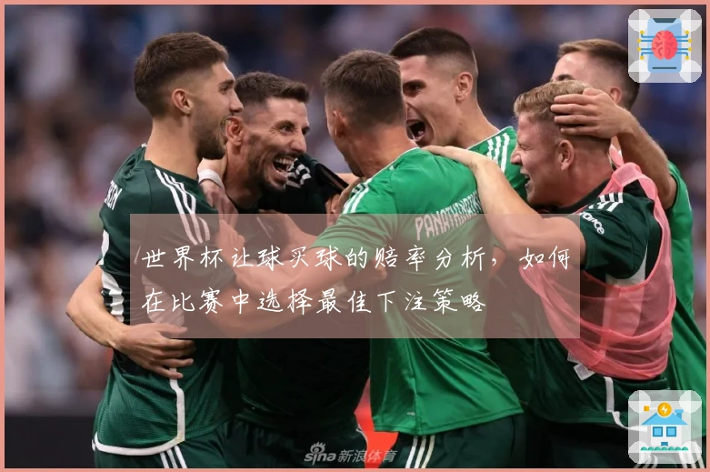 世界杯让球买球的赔率分析，如何在比赛中选择最佳下注策略