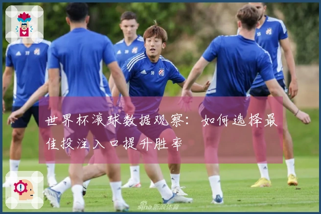 世界杯滚球数据观察：如何选择最佳投注入口提升胜率