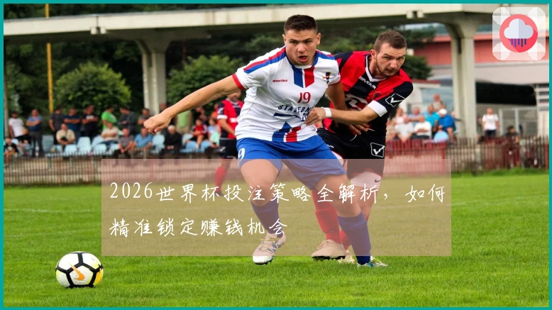 2026世界杯投注策略全解析，如何精准锁定赚钱机会
