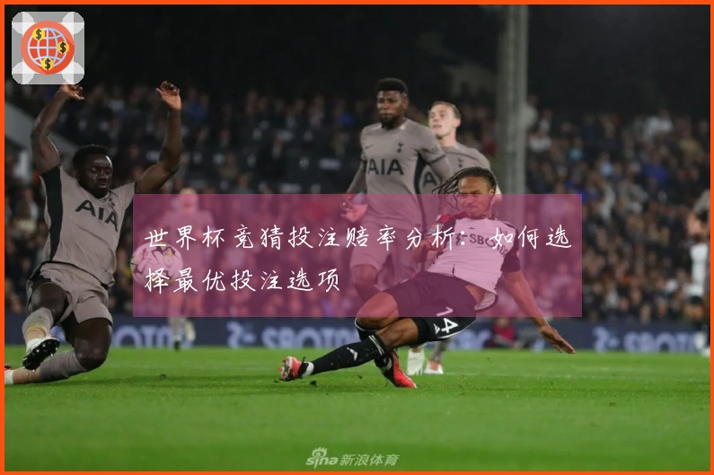 世界杯竞猜投注赔率分析：如何选择最优投注选项