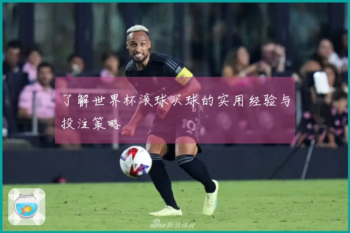 了解世界杯滚球买球的实用经验与投注策略