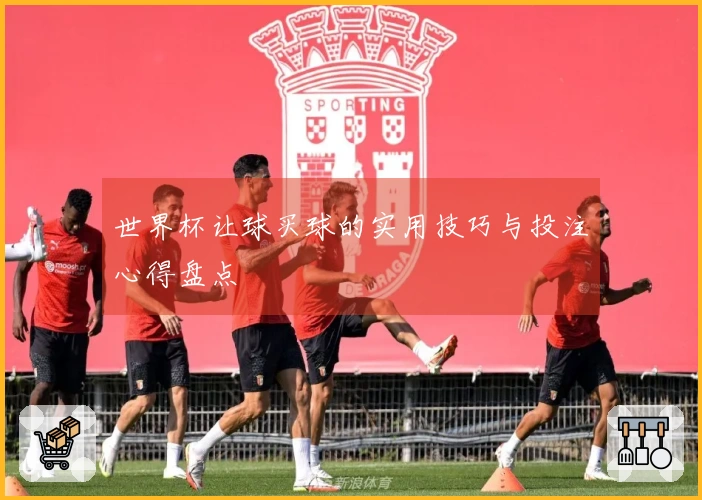 世界杯让球买球的实用技巧与投注心得盘点
