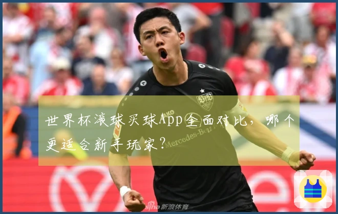 世界杯滚球买球App全面对比，哪个更适合新手玩家？
