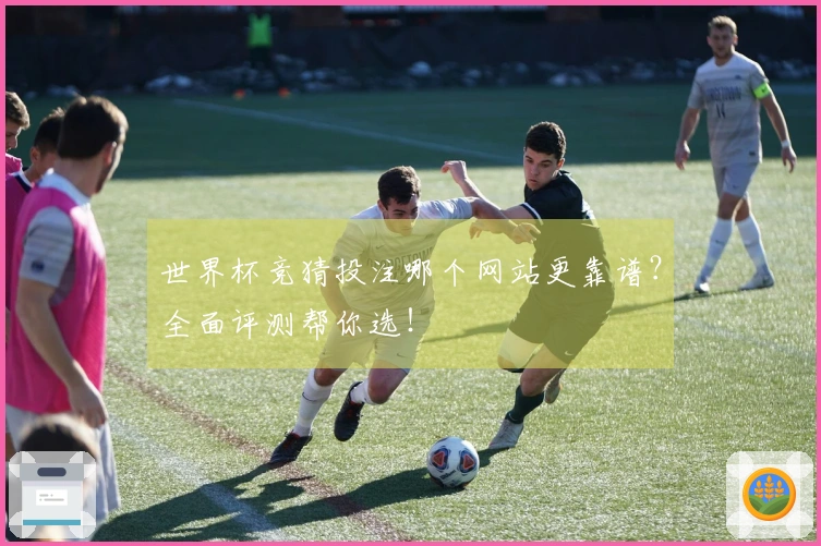 世界杯竞猜投注哪个网站更靠谱？全面评测帮你选！