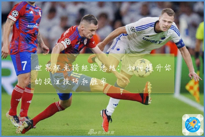 世界杯竞猜经验总结：如何提升你的投注技巧和胜率