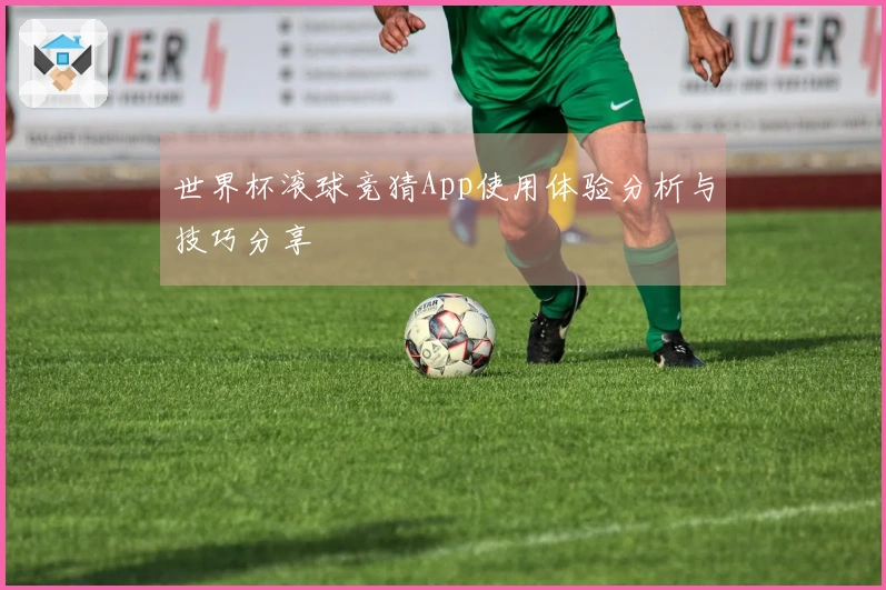 世界杯滚球竞猜App使用体验分析与技巧分享